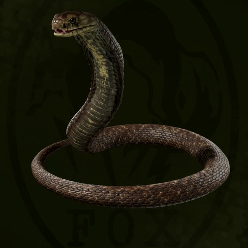 メタルギアデルタ_タイコブラ_アイコン